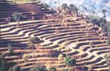 Nos voyages-Reportage photo sont ouverts � tous ceux qui aiment la photo et d�sirent se perfectionner, tout en d�couvrant un pays, ses originalit�s, ses coutumes, une partie de sa culture, au plus pr�s des habitants.