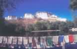 Nos voyages-Reportage photo sont ouverts � tous ceux qui aiment la photo et d�sirent se perfectionner, tout en d�couvrant un pays, ses originalit�s, ses coutumes, une partie de sa culture, au plus pr�s des habitants.